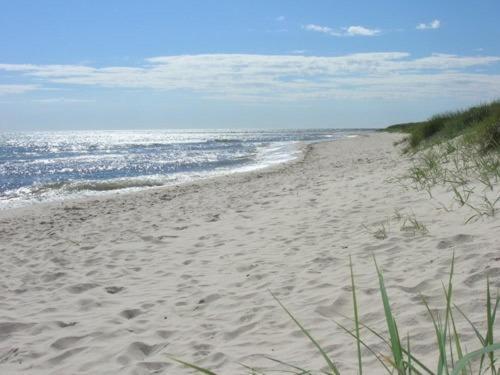 Falsterbo Camping Resort Skanör med Falsterbo Eksteriør bilde